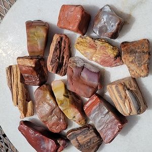 3lbs 12.5oz Az rainbow lightly tumbled petrified wood